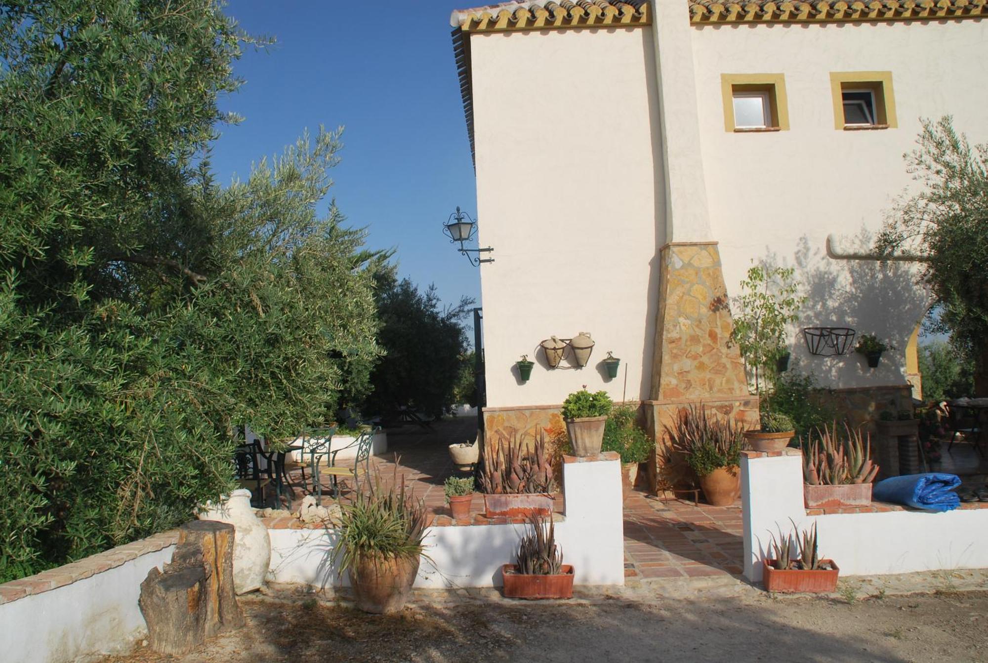 Agroturismo Ecologico El Cortijillo Luque Kültér fotó