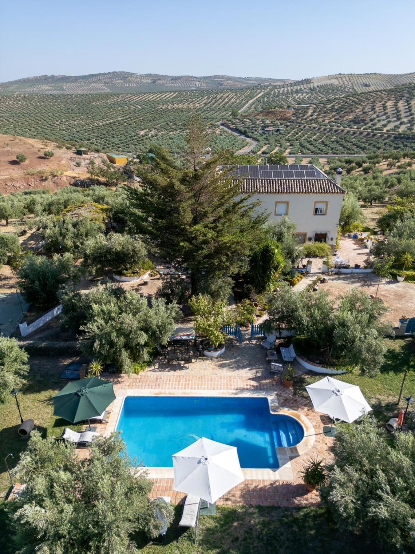 Agroturismo Ecologico El Cortijillo Luque Kültér fotó