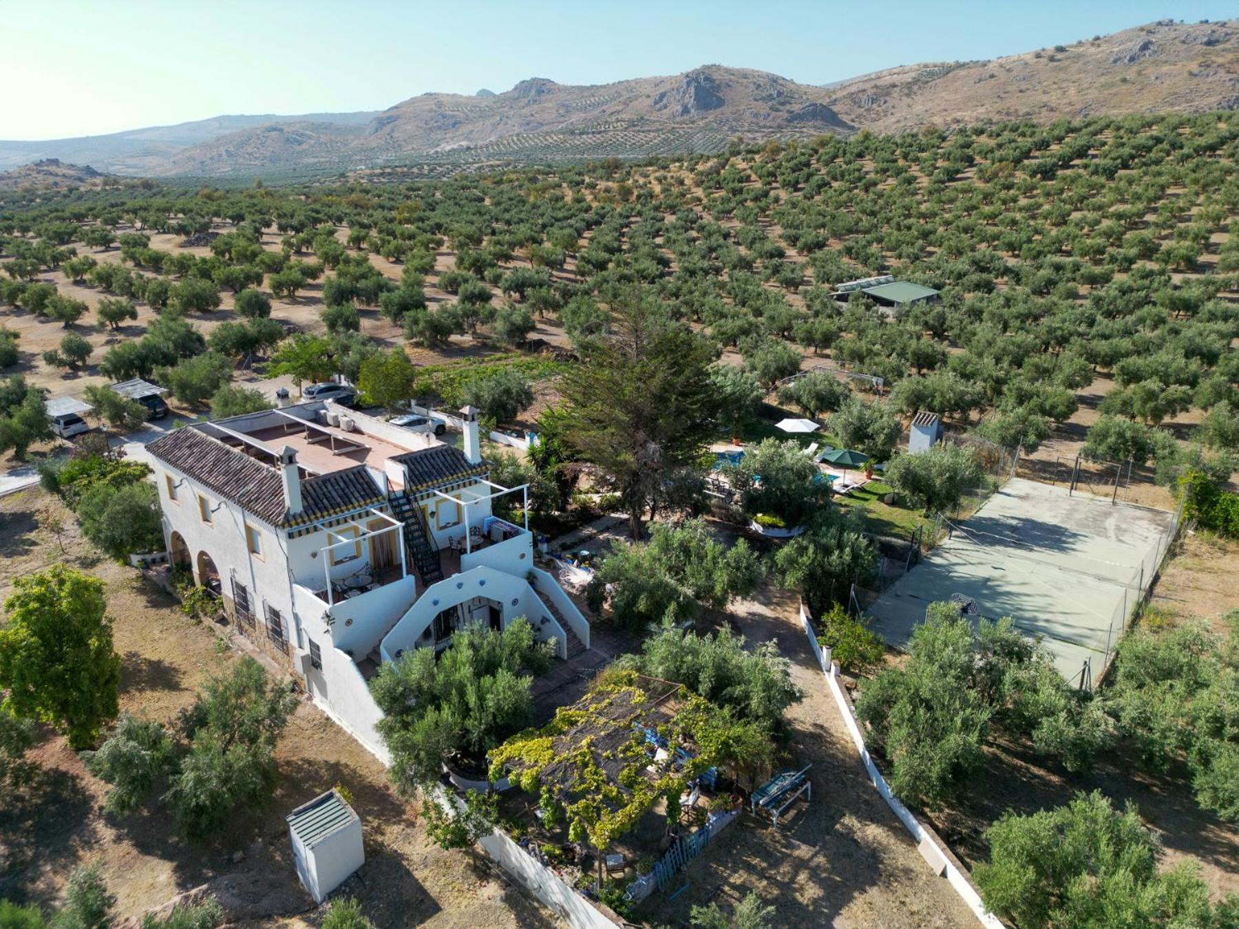 Agroturismo Ecologico El Cortijillo Luque Kültér fotó