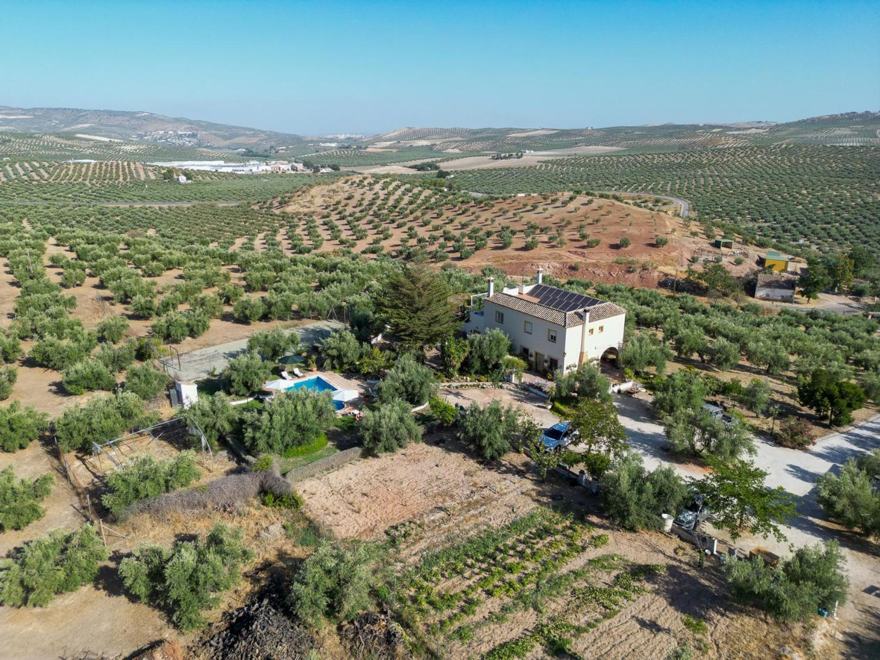 Agroturismo Ecologico El Cortijillo Luque Kültér fotó