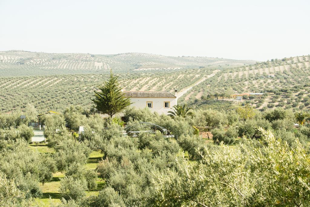 Agroturismo Ecologico El Cortijillo Luque Kültér fotó