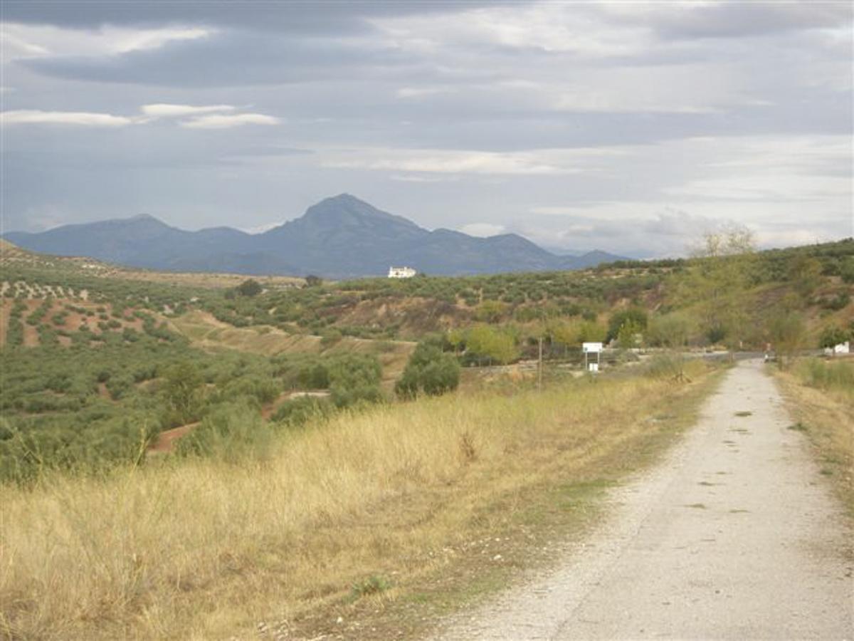 Agroturismo Ecologico El Cortijillo Luque Kültér fotó